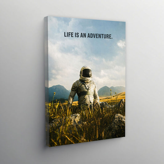 Life in an Adventure